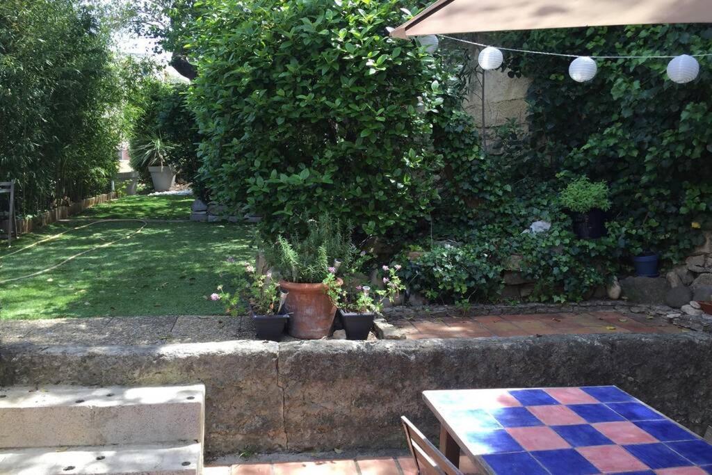 La Cassirene - Maisonnette Centre Cassis - Jardin Exteriér fotografie